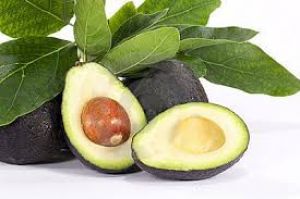 Aguacate Hass - Colombian Food Supplier